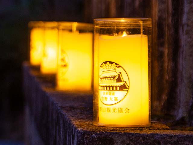 吉野桜燈火