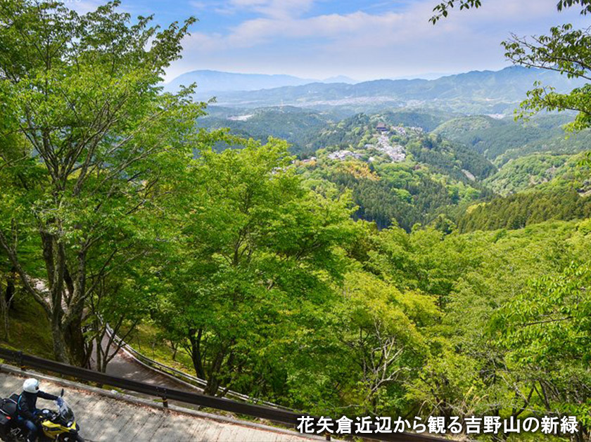 上千本から眺める吉野山の新緑
