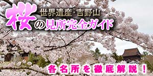 吉野山桜の見所特集